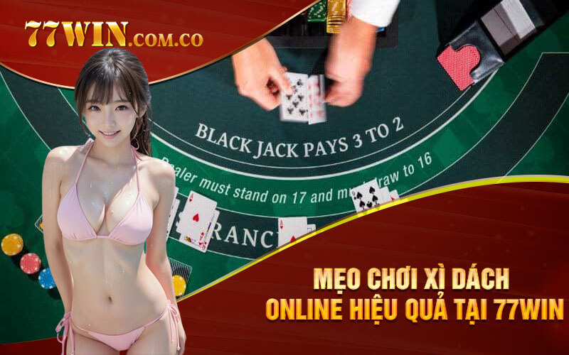 Mẹo chơi Xì Dách Online hiệu quả tại 77Win